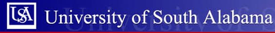 University of South Alabama Nursing Informatics Degree University of South Alabama Nursing Informatics Degree