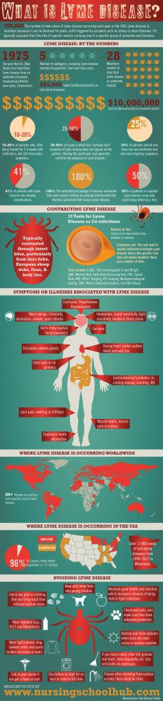 What is Lyme Disease?