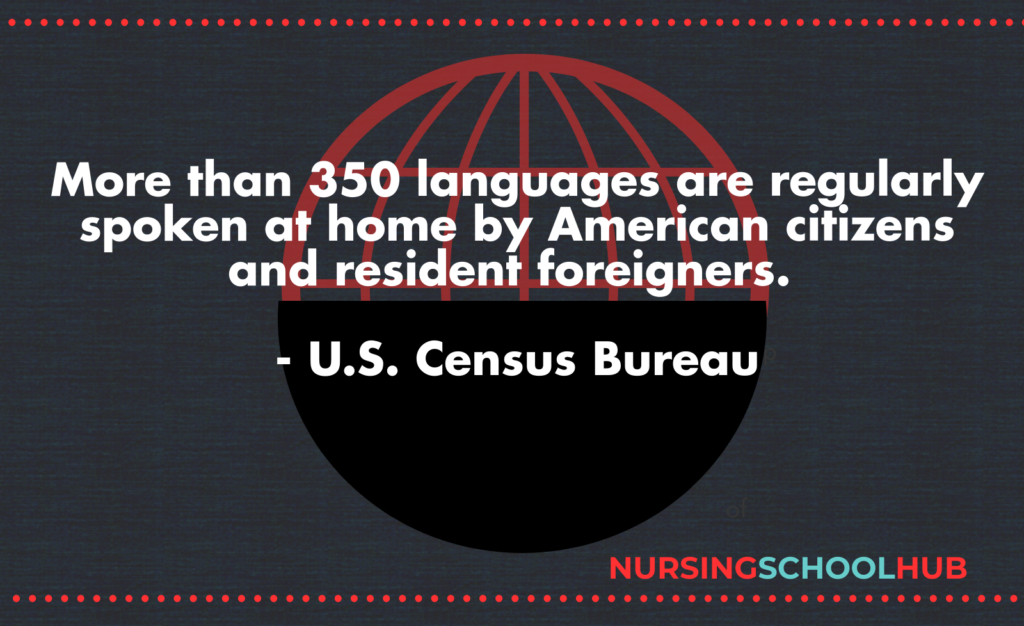 Guide Bilingual Nursing Jobs Nursing School Hub