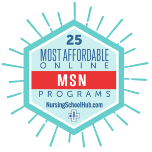 25 Most Affordable Online MSN Programs