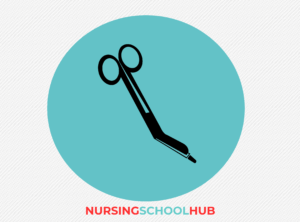 TOP 10 MUST HAVES for NURSING SCHOOL 