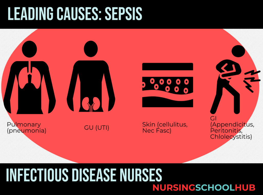 What is Infectious Disease Nursing?  - graphic 1